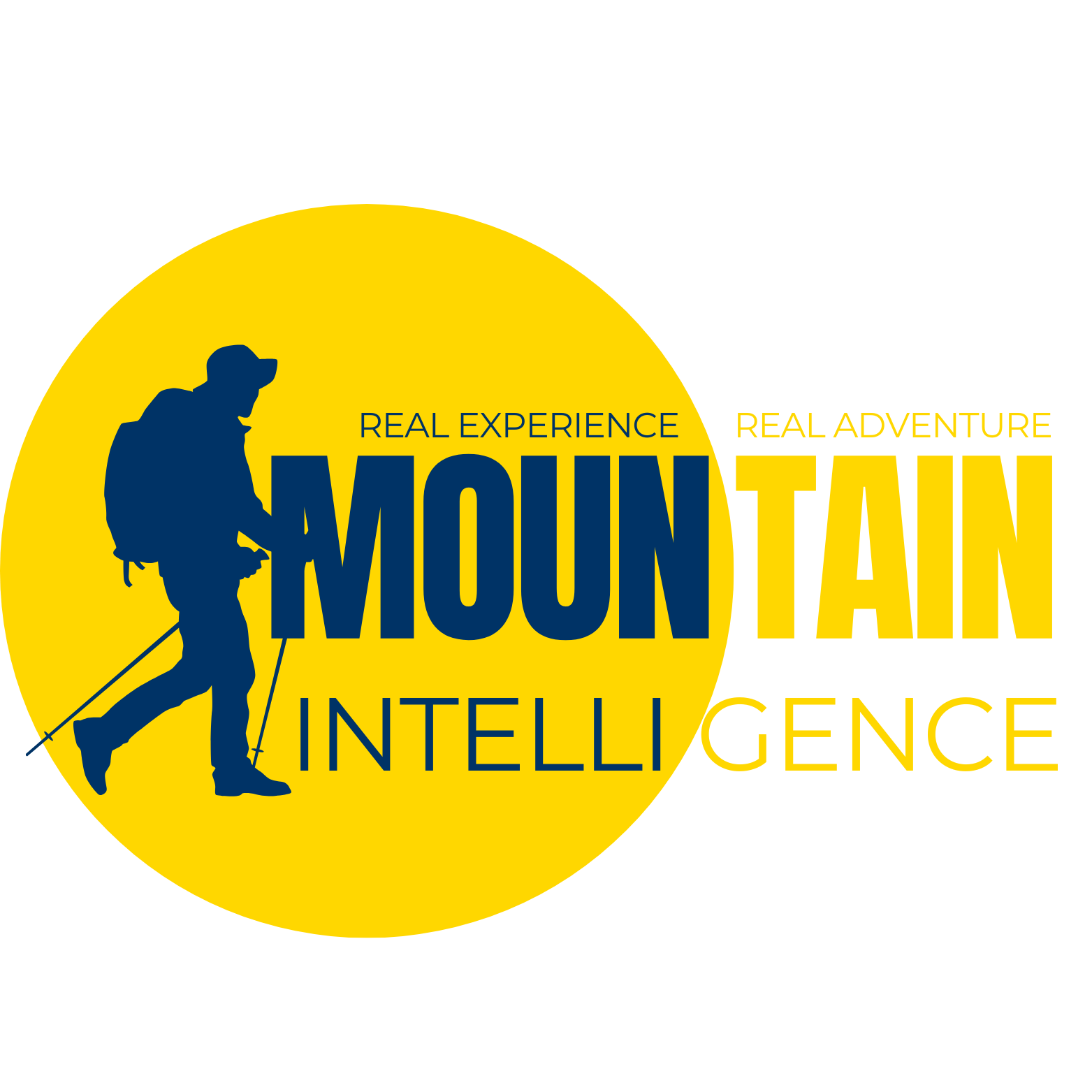 Mountain Intelligence