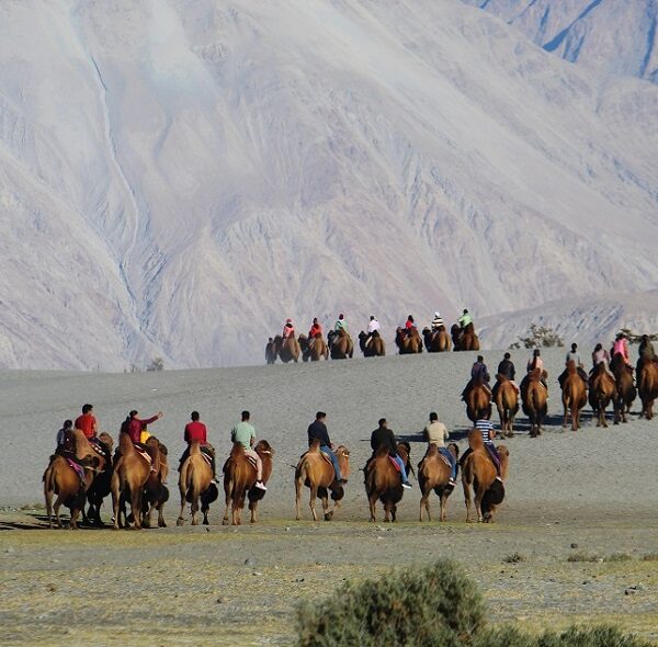 Ladakh Tour Package with Turtuk Village