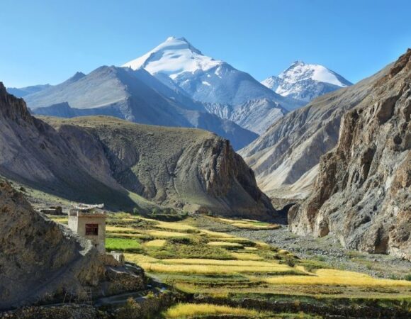 Kang-Yatse II (6250m) Expedition