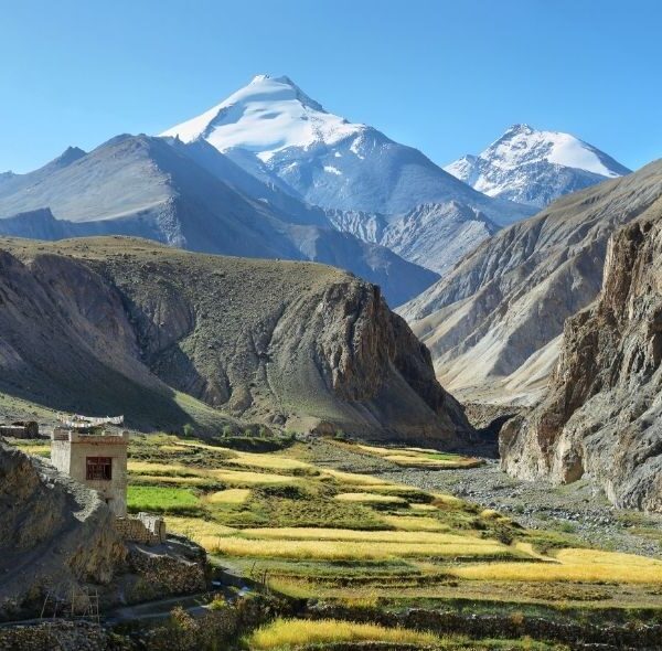 Kang-Yatse II (6250m) Expedition