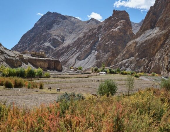 Markha Valley Trek