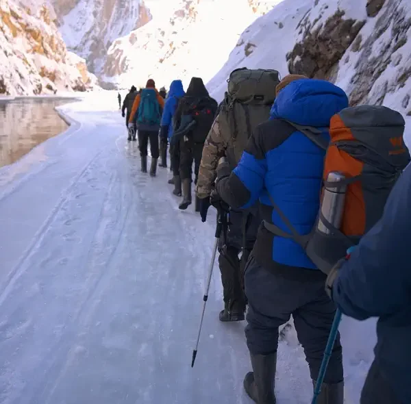 Adventurers trekking on the frozen Zanskar River during the Chadar Trek in Ladakh.