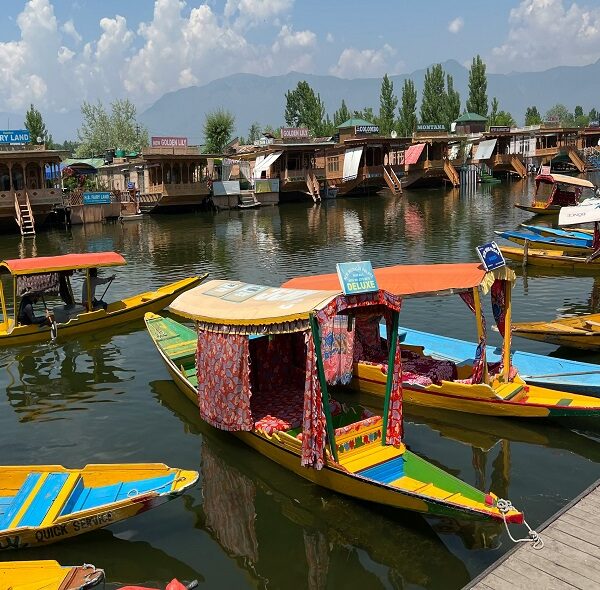 Kashmir Ladakh Manali Road Trip