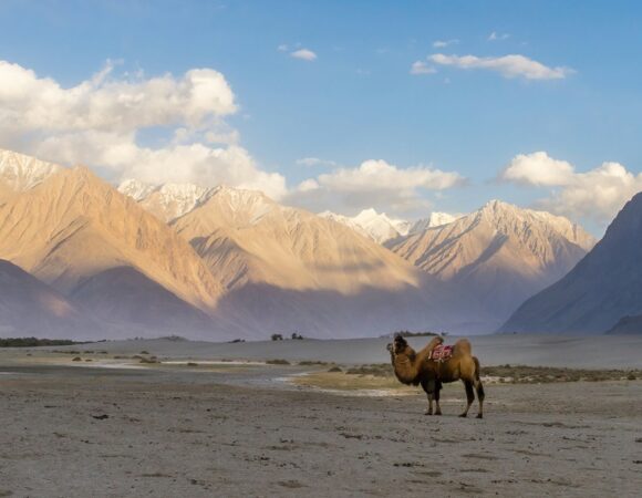 Kashmir Ladakh Road Trip