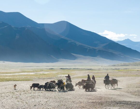 Leh Ladakh Car Trip with Umling La Pass