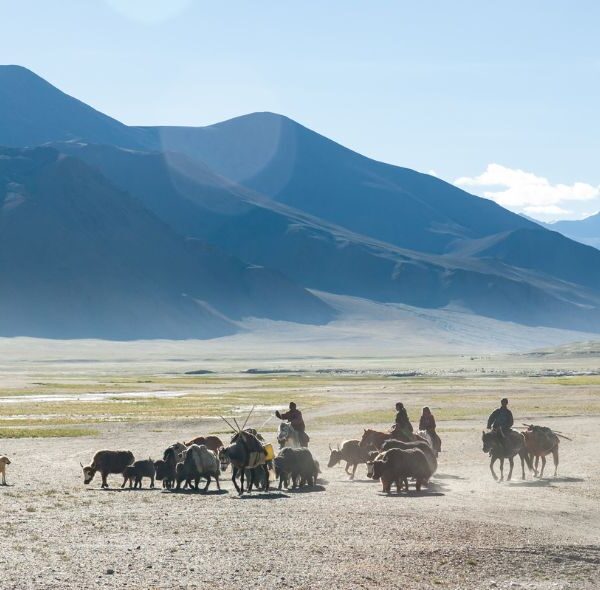 Leh Ladakh Car Trip with Umling La Pass