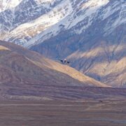 A plane flying over the majestic Himalayan mountains, heading towards Leh Ladakh’s Kushok Bakula Rimpochee Airport.