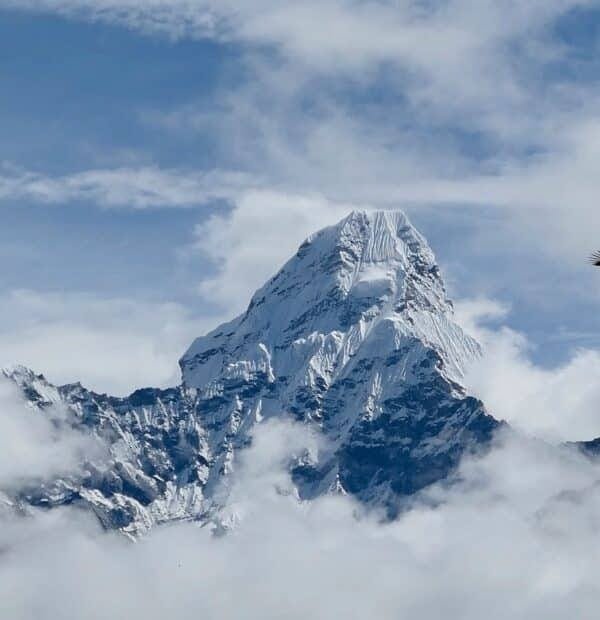 Mountaineering in Ladakh