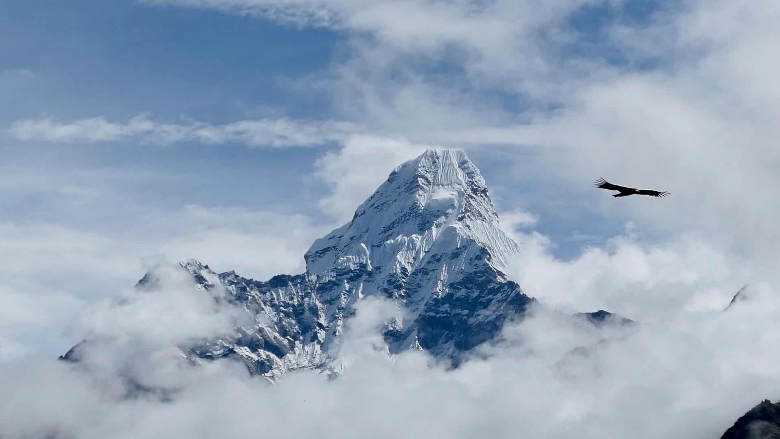 Mountaineering in Ladakh