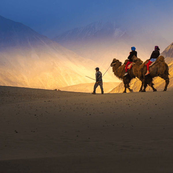 9 Days Ladakh Cultural Jeep Safari