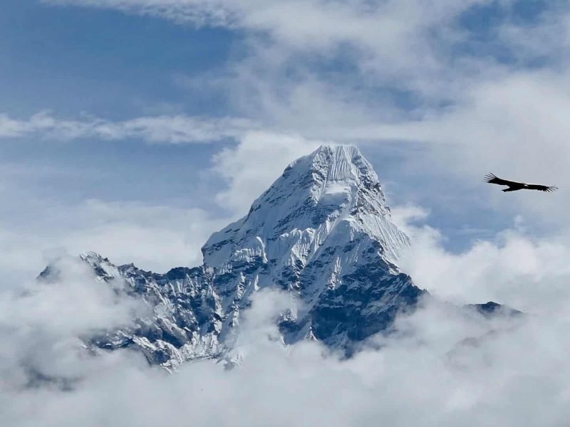Mountaineering in Ladakh